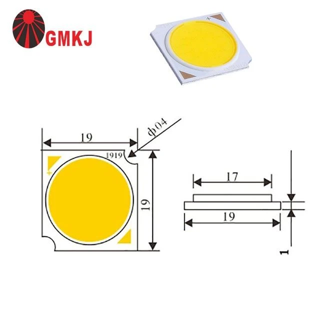Shenzhen Manufacturer High Power 1919 3w Cob Led